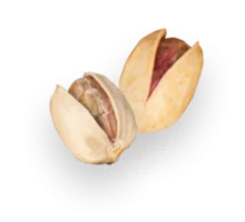 پسته کله قوچی