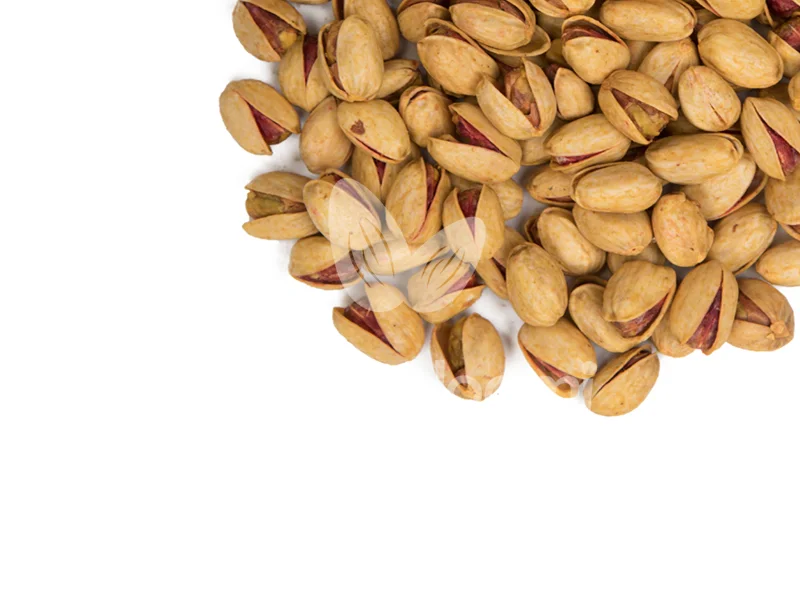 بررسی ویژگی های پسته کله قوچی شور