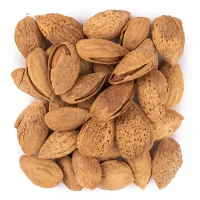 بادام درختی پوست کاغذی منقا خام خارجی