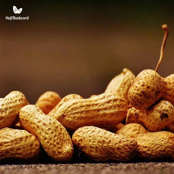 بادام زمینی سرشار از چربی‌های غیراشباع