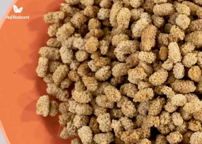 فواید توت خشک برای کاهش وزن و کاهش استرس در دوران بارداری