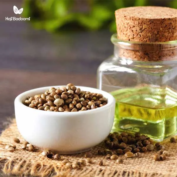 شاهدانه منبعی غنی از پروتئین گیاهی