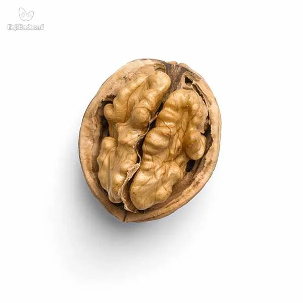 گردو مفید برای مغز