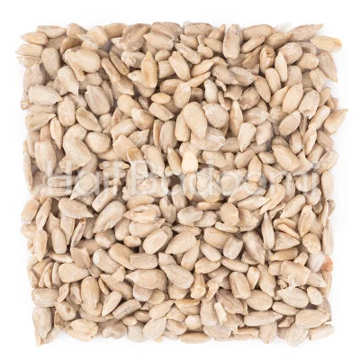 مغز تخمه آفتابگردان خام ممتاز