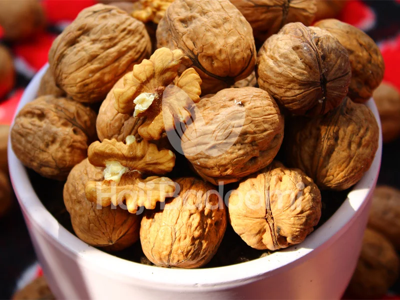 نمایی از گردو با پوست کاغذی کیفیت معمولی