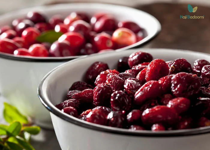 خواص کرنبری خشک شده برای گوارش