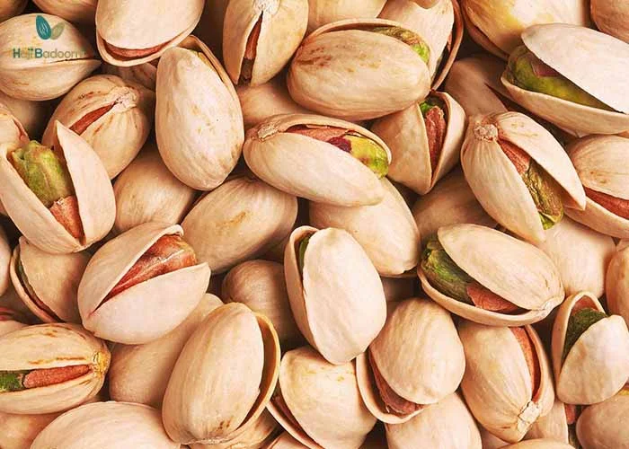 خرید پسته دامغان