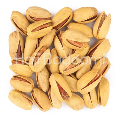 پسته اکبری دستچین شور