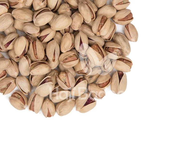 نمایی از پسته کله قوچی خام