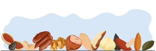 موقع خرید آجیل به نحوه ارائه محصولات فروشگاه توجه کنید!