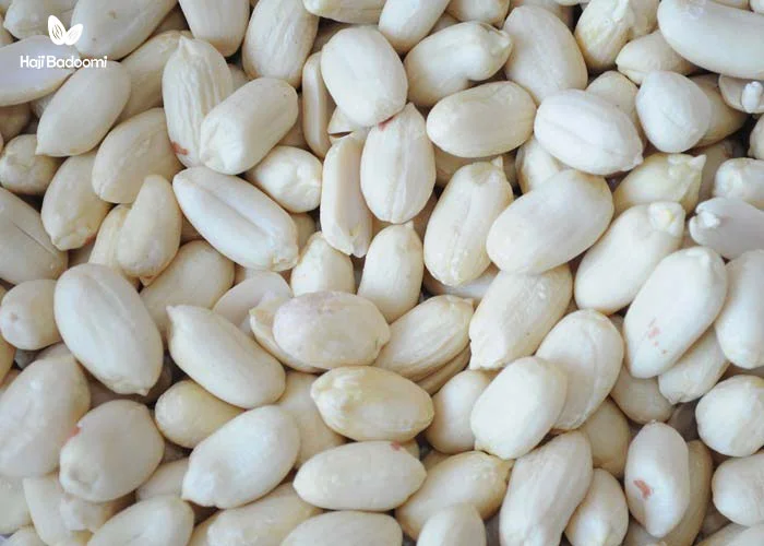 خرید بادام زمینی خام