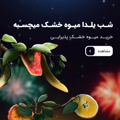 میوه خشک شب یلدا