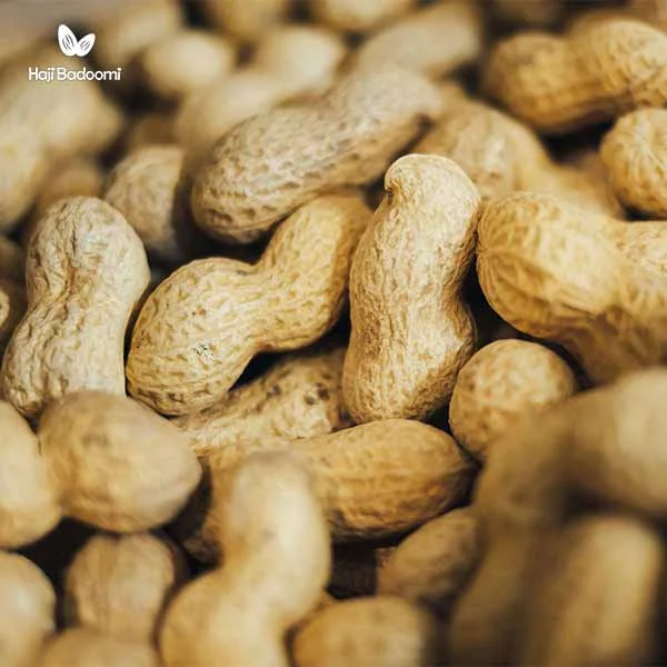 خواص بادام زمینی و کاهش خطر ابتلا سرطان