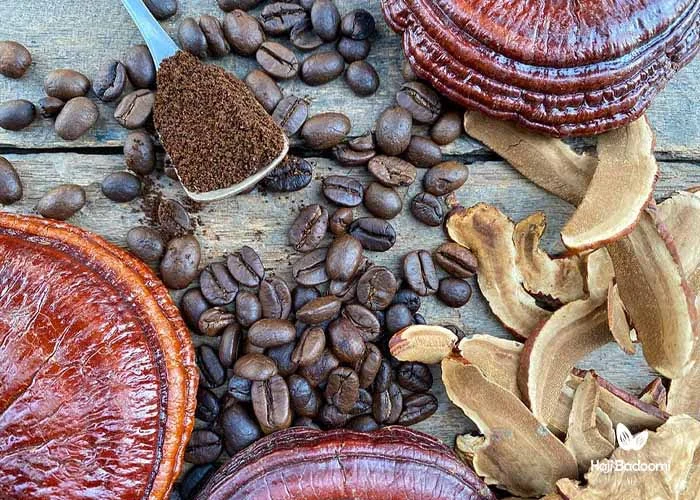 خرید قهوه آنلاین: قهوه گانودرما می‌تواند خواص مفیدی برای سلامتی بدن انسان داشته باشد