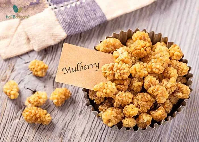 مزایای توت خشک برای چاقی